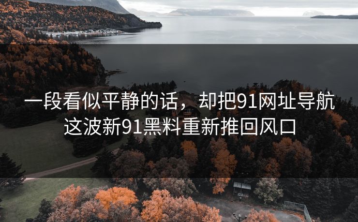一段看似平静的话，却把91网址导航这波新91黑料重新推回风口